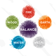 Load image into Gallery viewer, BALANCE | Natural Immune Support Supplement with Reishi, Cordyceps & Lion's Mane Mushroom Extract | 120 Capsules